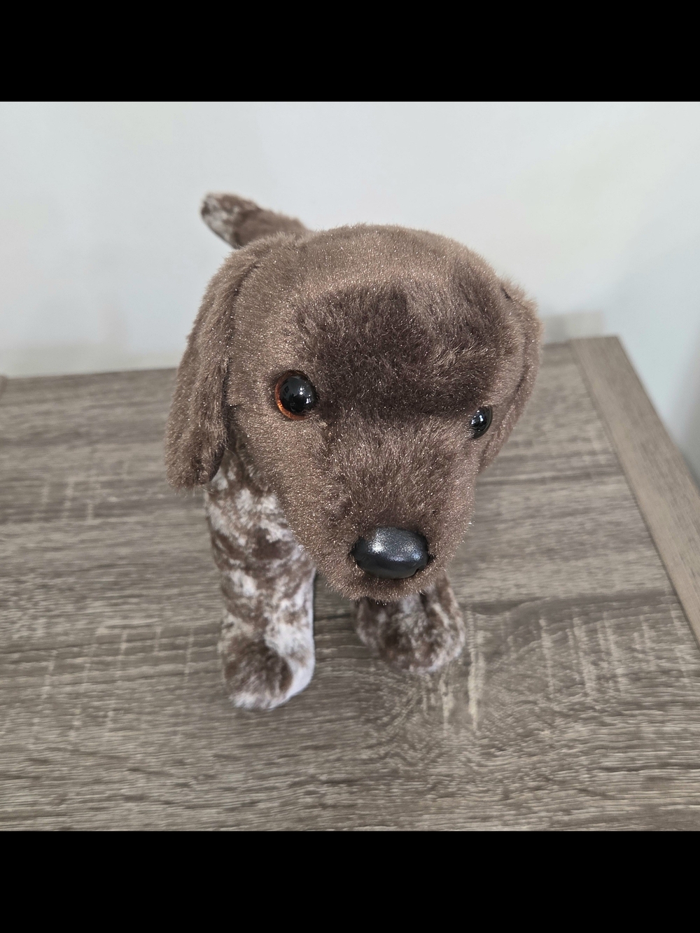 Douglas lvan German Short Haired Pointer Plush Realistic Dog Puppy 8"